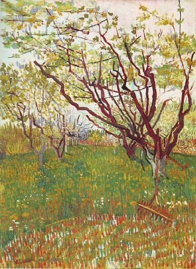 Vincent Van Gogh Cherry Tree Norge oil painting art